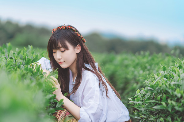 图片[11]-记忆里的夏天-六色网