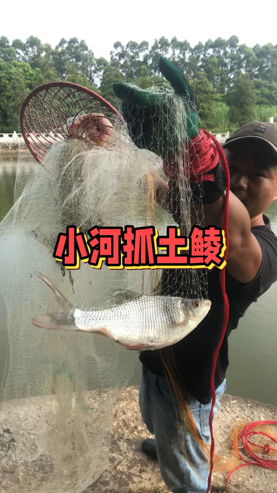 这是我们南方河里才有的鱼可以做成罐头的鱼叫鲮鱼罐头!