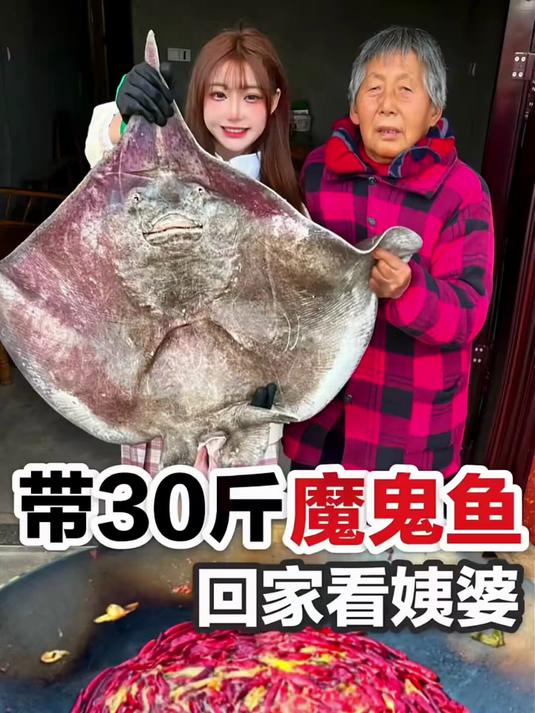 三十斤巨型鳐鱼带回老家，家常烹制美味，阖家共享乡土佳肴