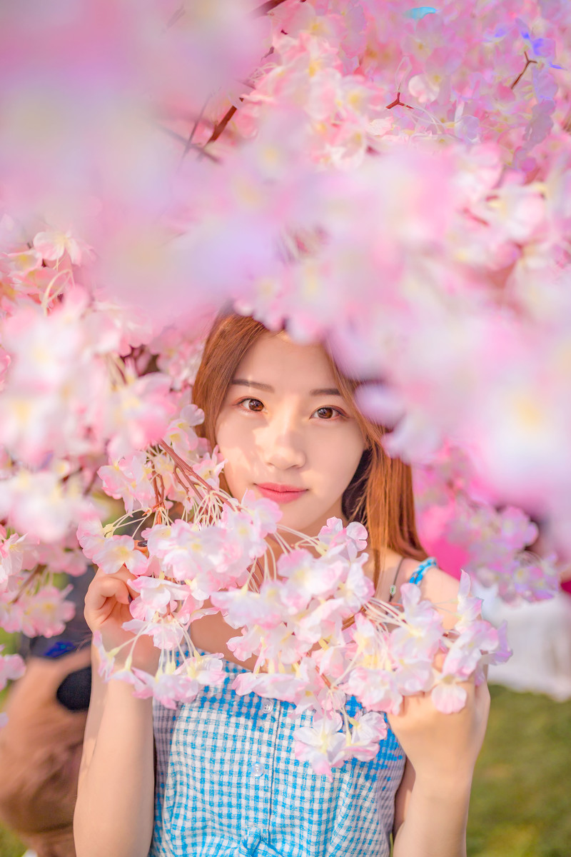 海棠花与JＫ-六色网