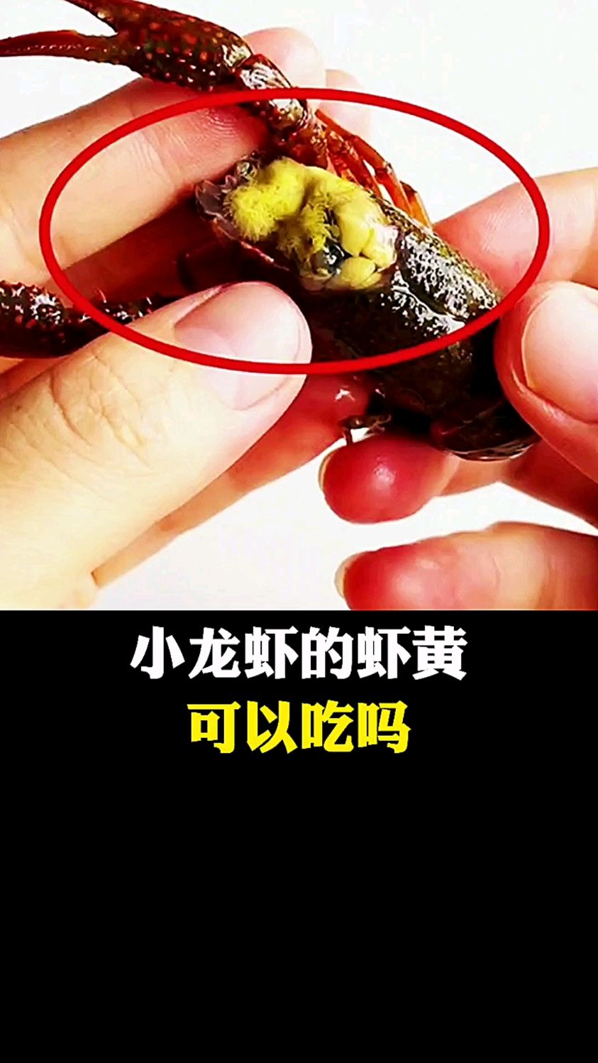 小龙虾的虾黄,真的可以吃么?