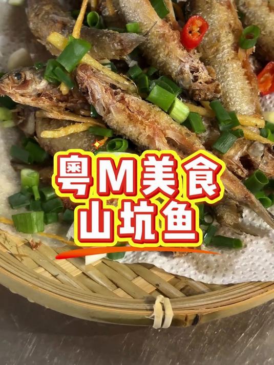 粤M美食·山坑鱼