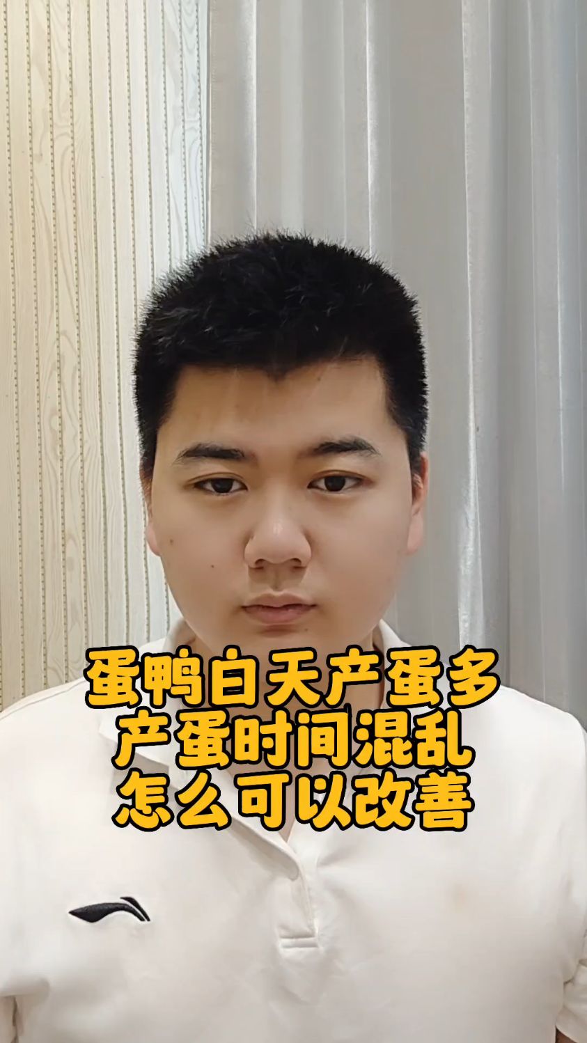 #鸭子白天下蛋多怎么回事鸭子白天生蛋什么原因鸭子下蛋时间是几点钟鸭子为什么白天生蛋