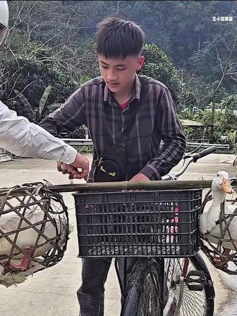小南出售自己养殖鸭子,自己包粽子改善伙食
