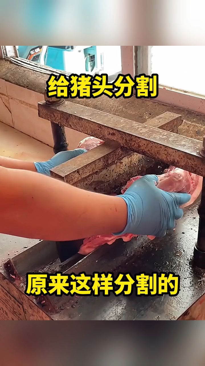 给猪头分割,原来这样分割的!