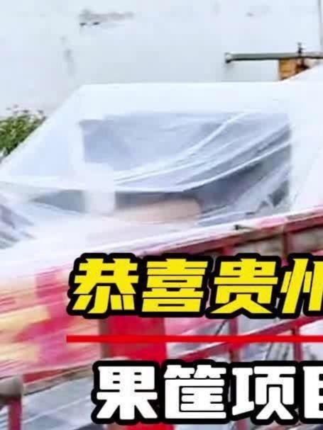 浙江果筐专用机生产厂家助力菜篮子民生工程顺利交付!
