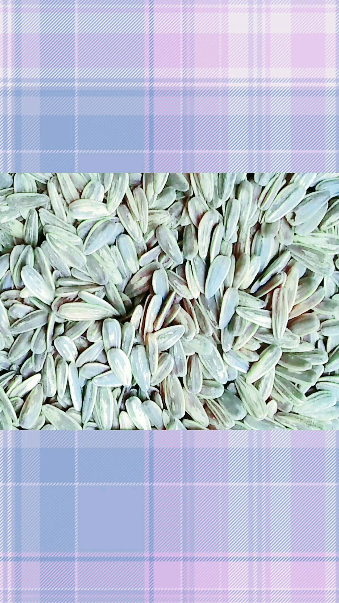 椒盐瓜子香脆可口,椒盐味,更受大家喜欢!天气热,窝在空调房里看剧,乃追剧伴侣!