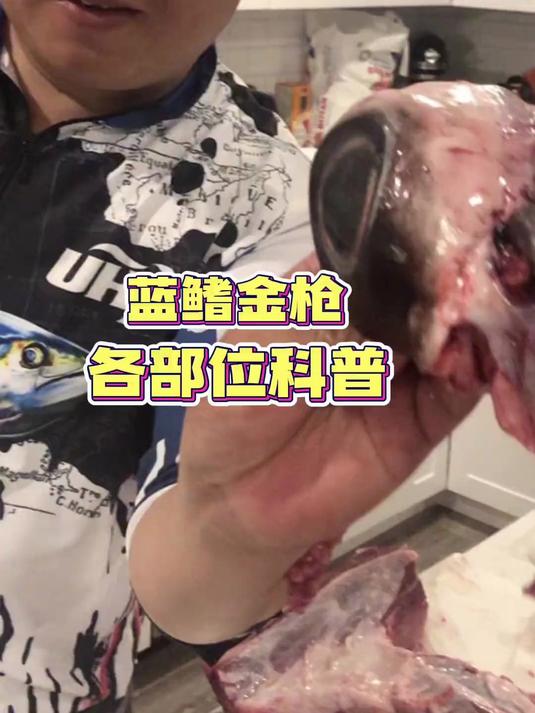 蓝鳍金枪鱼各部位大科普！关于蓝鳍金枪鱼你知道多少呢？