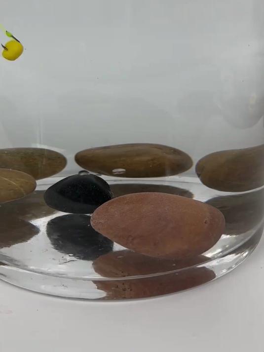 新型万向四爪钩.鱼钩立体布局.上鱼率更高！粉饵和方块饵都能用