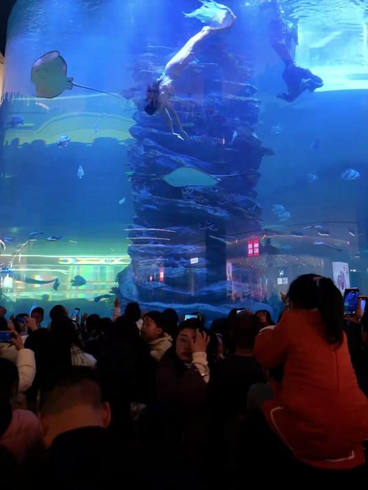 想要做圆柱亚克力鱼缸,一定选择蓝湖,案例是同行比不了的