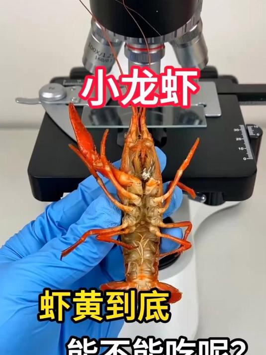 小龙虾的“虾黄”到底能不能吃呢?