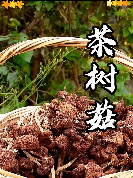 超好吃的茶树菇炒五花肉真的又香又下饭