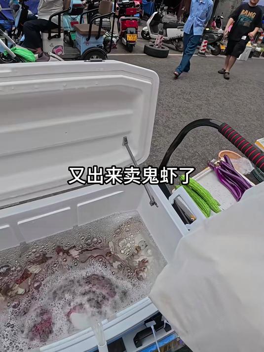 又来摆摊卖海南最大的虾了 上次视频好多人种草了鬼虾
