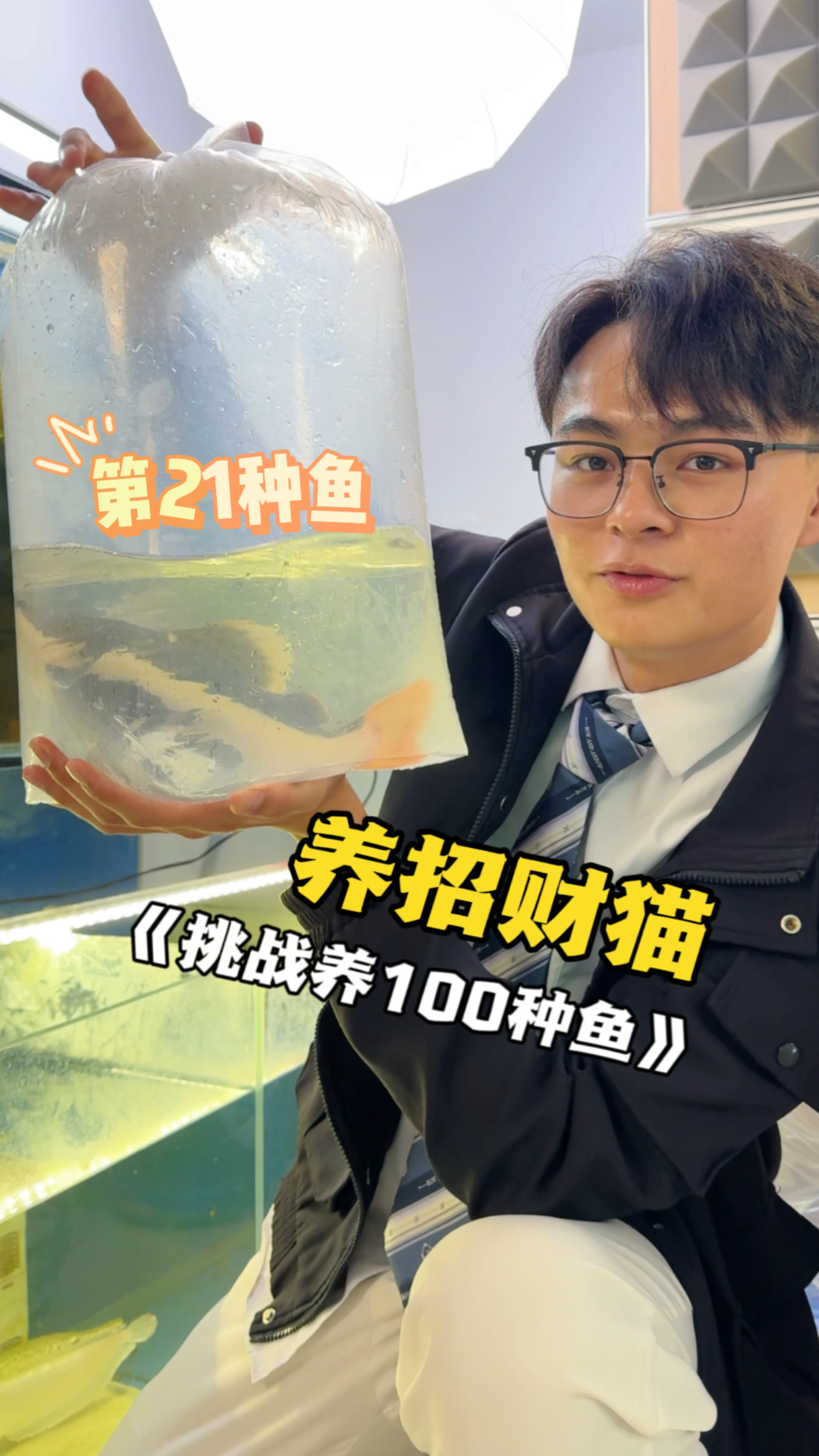 我养的招财猫为什么是这个样子?