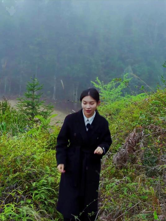 春天根本就不用买菜，这些野菜你都吃过吗