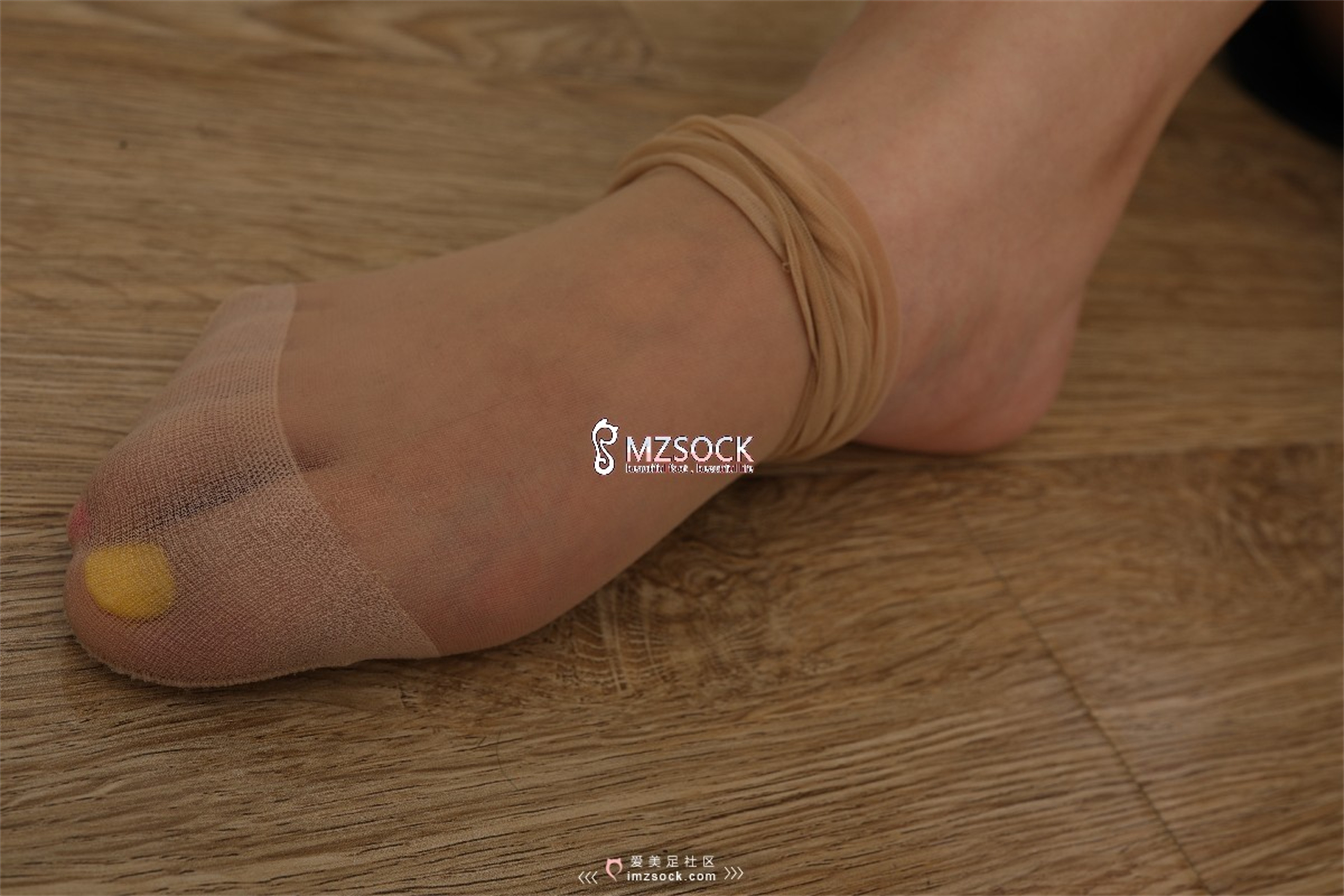 图片[24]-[MZSOCK]爱美足 NO.043 圆子[76P180M]-六色网