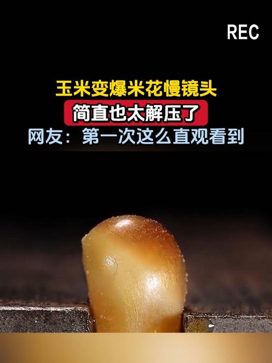 玉米变爆米花慢镜头,简直也太解压了,网友:第一次这么直观看到