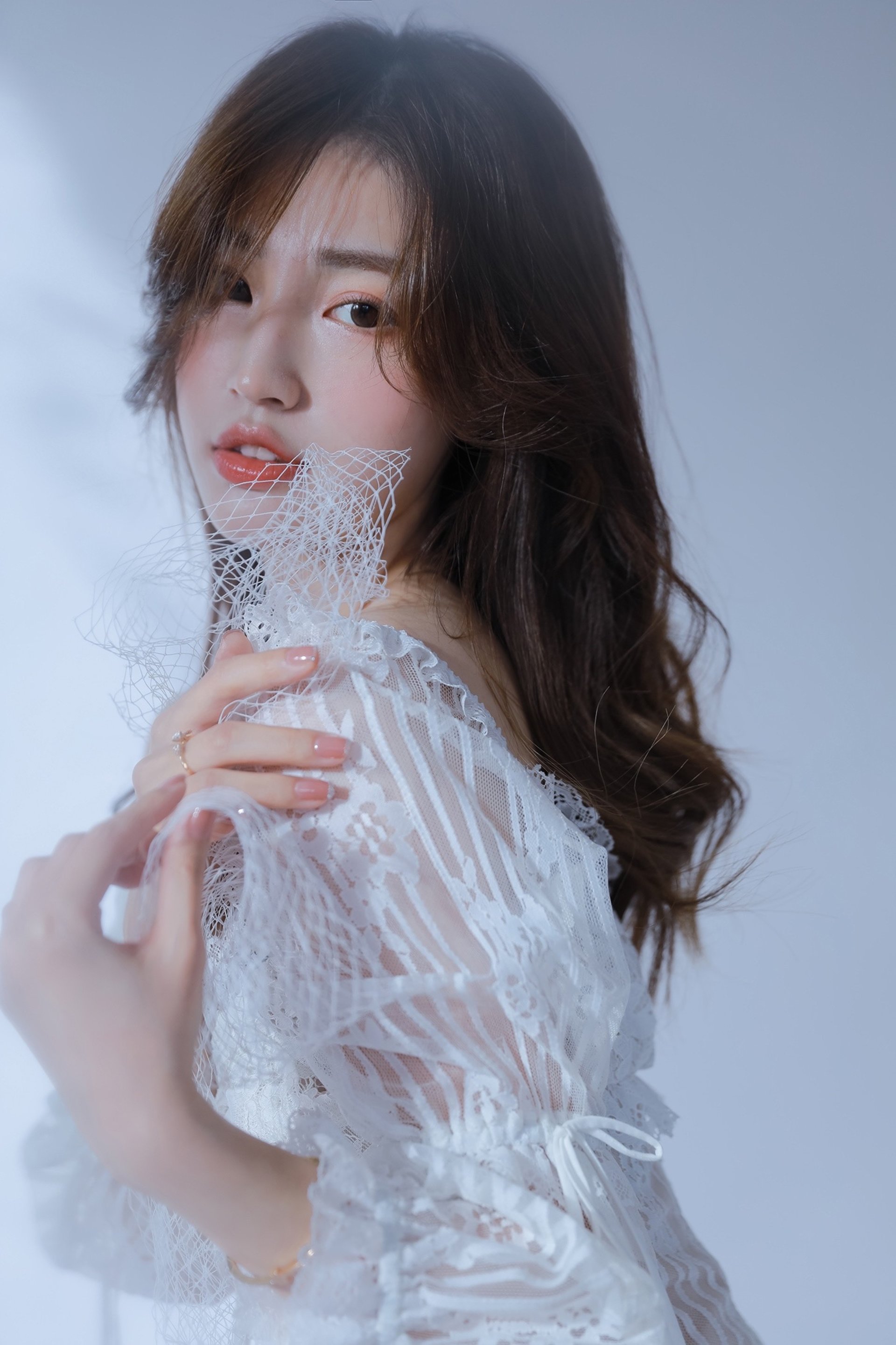 图片[4]-蝴蝶-六色网