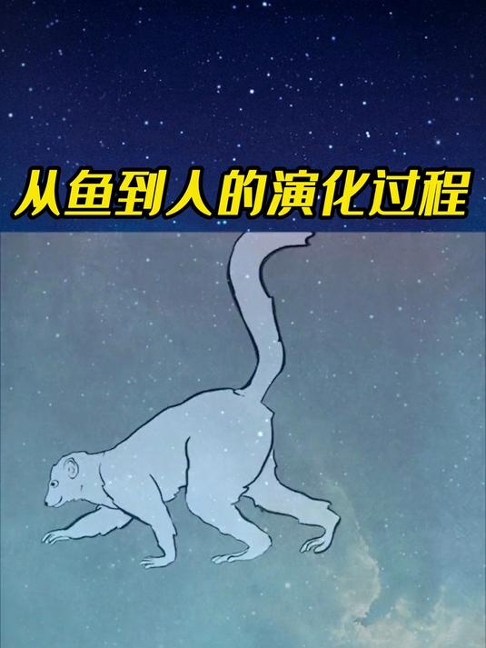 二十秒看完从鱼到人演化的全过程