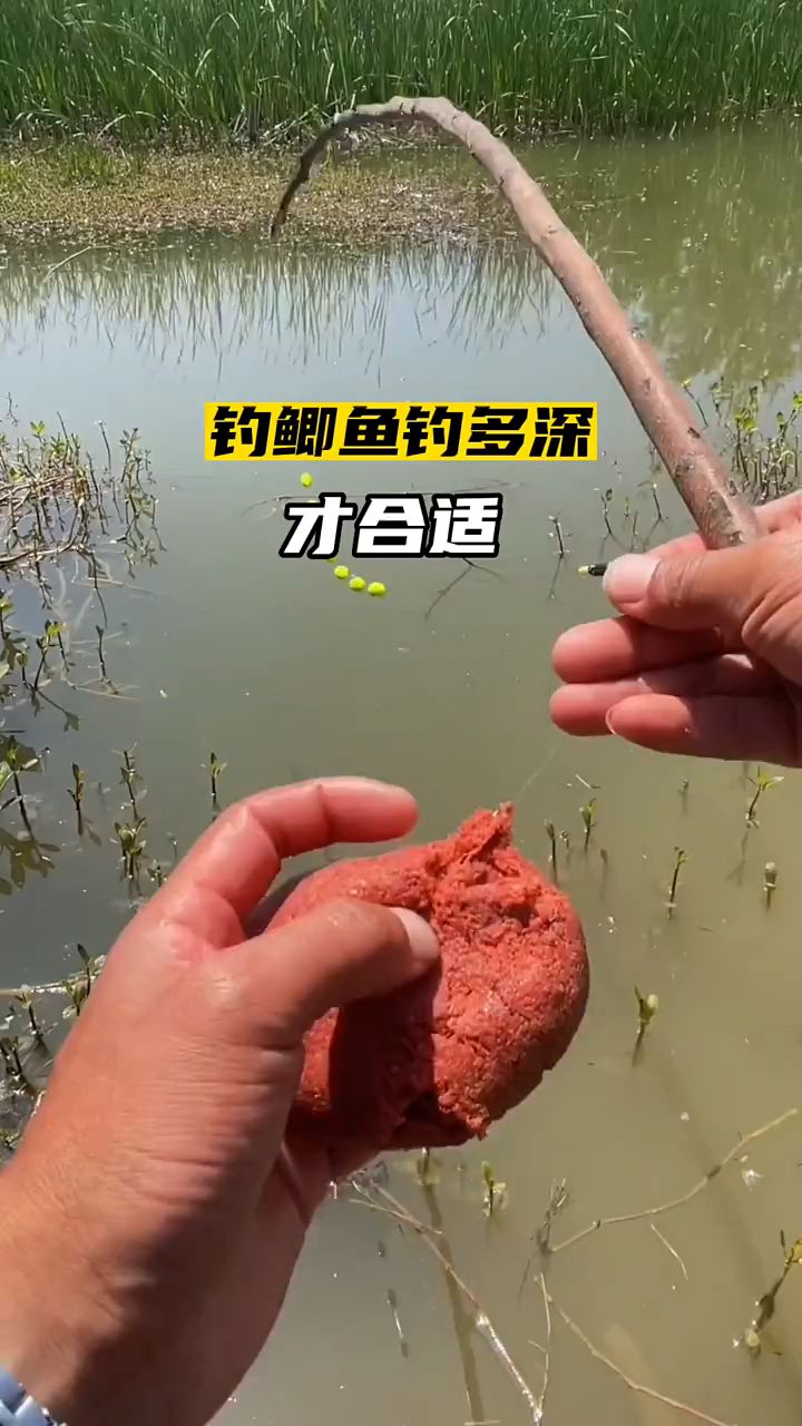 夏季野钓鲫鱼到底钓多深才合适