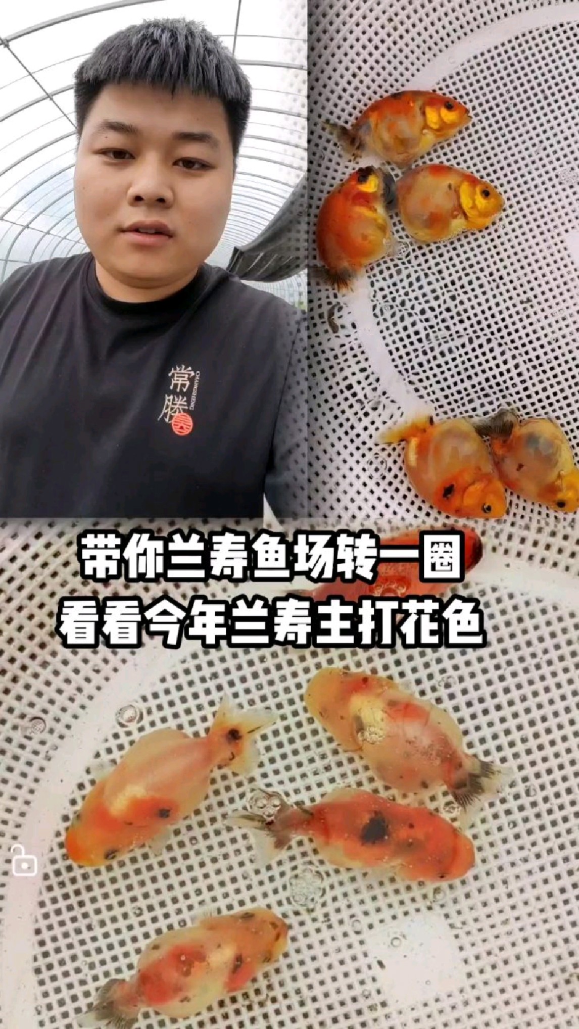 带大家参观一下兰寿鱼场