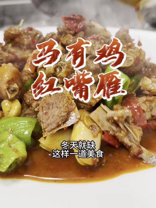 新疆红嘴雁究竟有多好吃?微辣裹上皮带面香完了!
