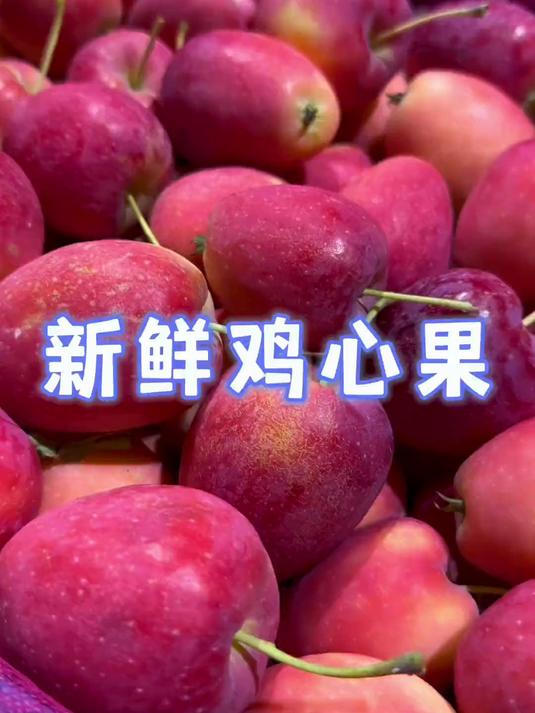 鸡心果一年只有15天的果期,今天直播间上新了
