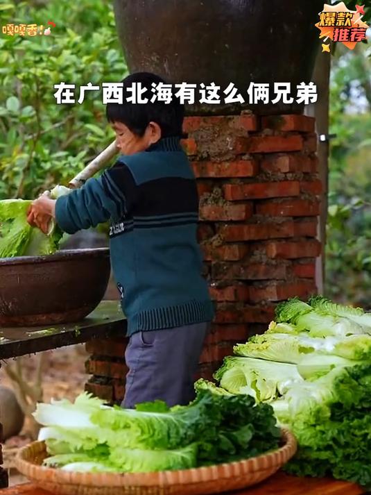 今天带大家来看看我们 梅干菜