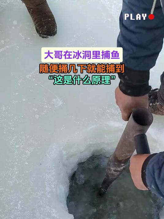 大哥在冰洞里捕鱼,随便捅几下就能捕到,“这是什么原理”