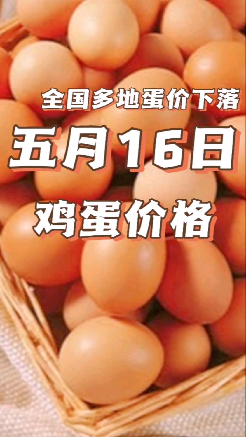 鸡蛋价格 鸡蛋价格走势 鸡蛋价格早知道 鸡蛋价格预测 鸡蛋价格走势分析 鸡蛋价格早报