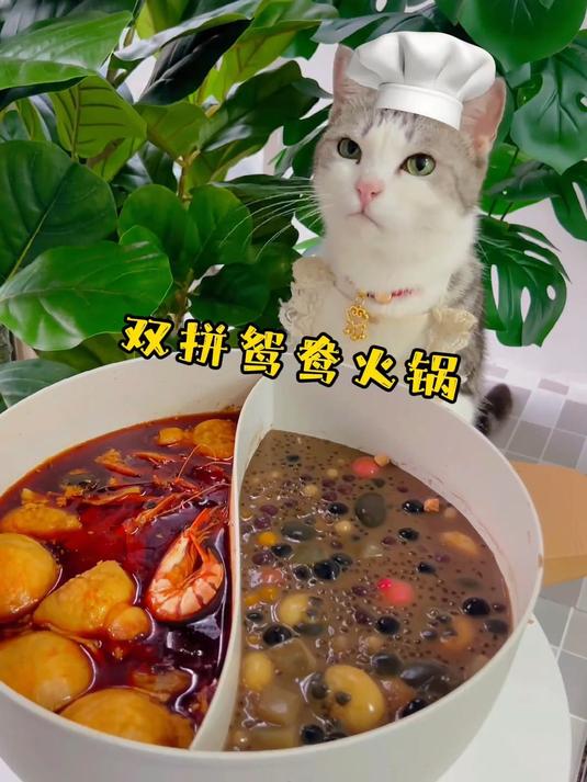 宅家自制麻辣烫奶茶鸳鸯锅!双倍快乐