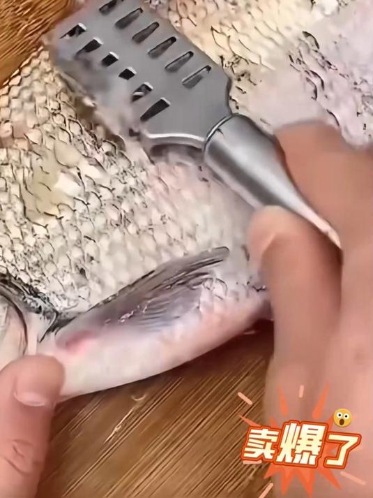 鱼鳞刨厨房家用实用杀鱼刮鳞器