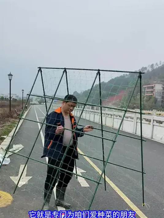 实用种菜爬藤架:黄瓜豆角通用,助力蔬菜攀爬