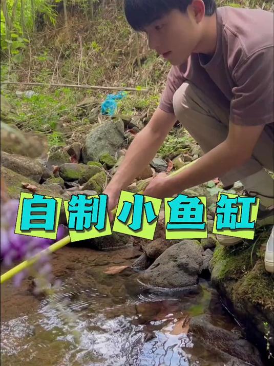 你有在小溪摸过小鱼小虾吗？每个装着小鱼的塑料瓶子都是童年回忆