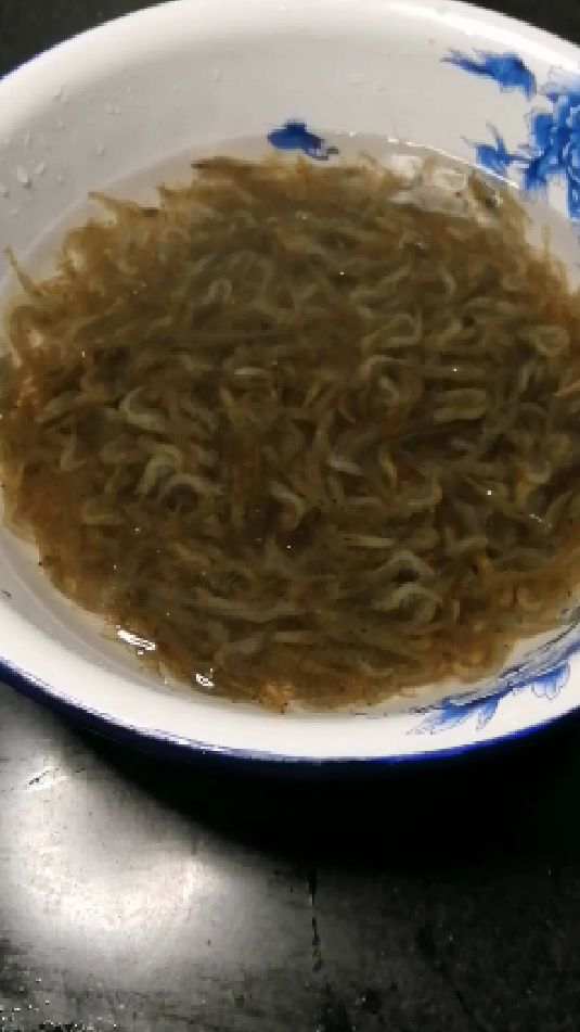 草虾是一种营养价值很高的美食,夏天到了,有喜欢吃草虾的朋友们进来看看。