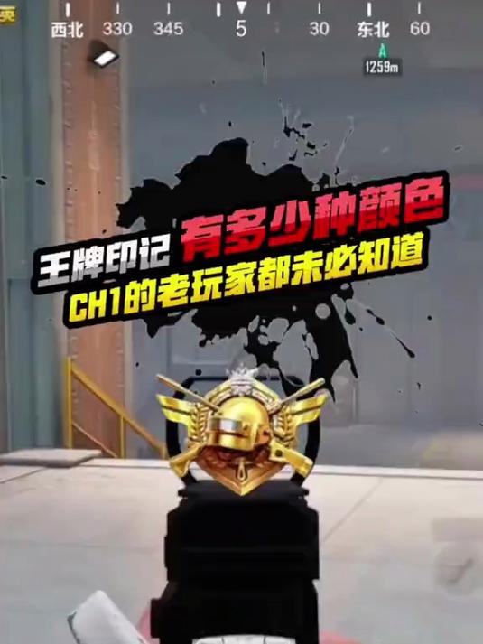 你知道王牌印记的颜色种类有多少吗?老玩家也未必清楚哦