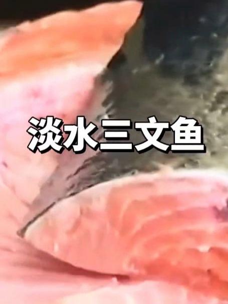 东北正宗南美对虾、东北正宗挪威三文鱼、东北正宗澳龙、法国鹅肝