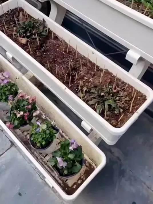 新款阶梯式阳台种菜架 多层实用 实现蔬菜自由