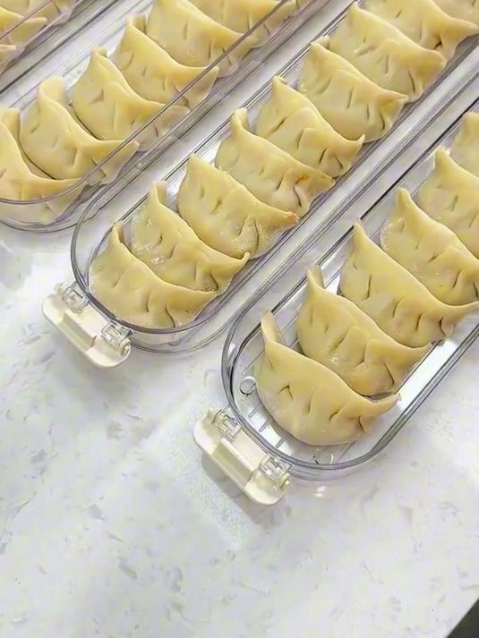 饺子盒专用多层保鲜盒大容量厨房冰箱冷冻馄饨水饺托盘包子收纳盒#省心好物攻略##甄选好物##