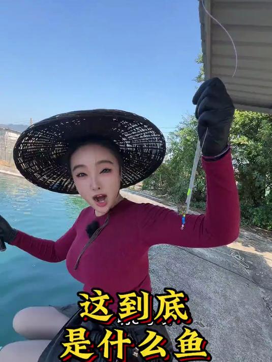 第一次黑坑钓海鱼，总感觉哪里不对了，我就想知道这到底什么鱼