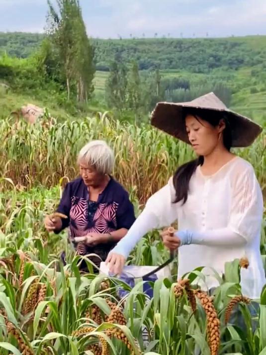 挑食娃的营养骗局|敖汉小米磨粉做卡通馒头,隐形补充8种微量元素