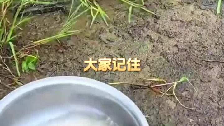 5月29日七星鱼的栖息地点1