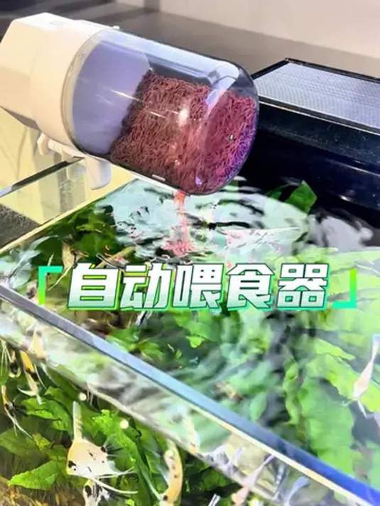 出行不怕鱼挨饿 鱼缸自动喂食器 设定次数就安心
