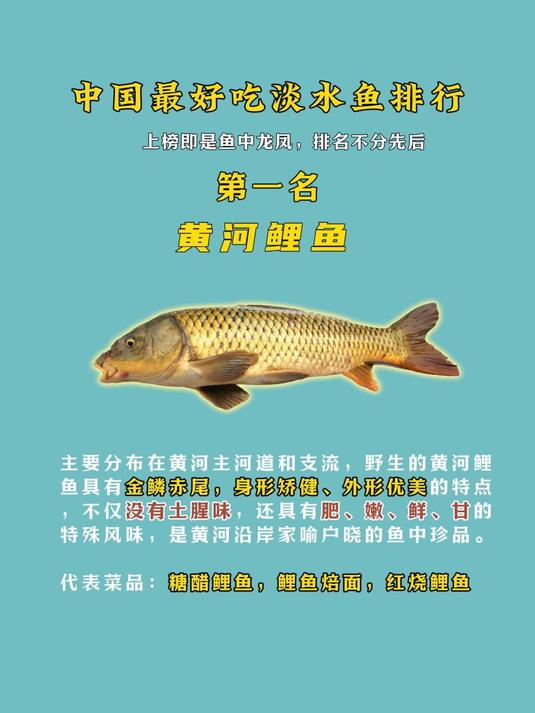 中国最好吃淡水鱼排行,黄河鲤鱼上榜