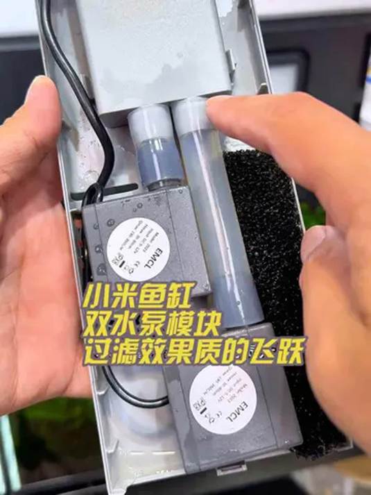 小米智能鱼缸养不好鱼?升级古比鱼双泵试试,水循环大不同!