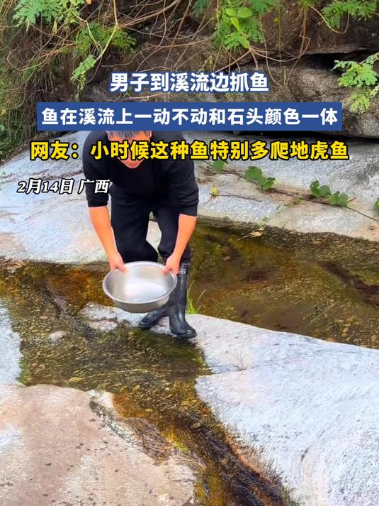男子到溪流边抓鱼