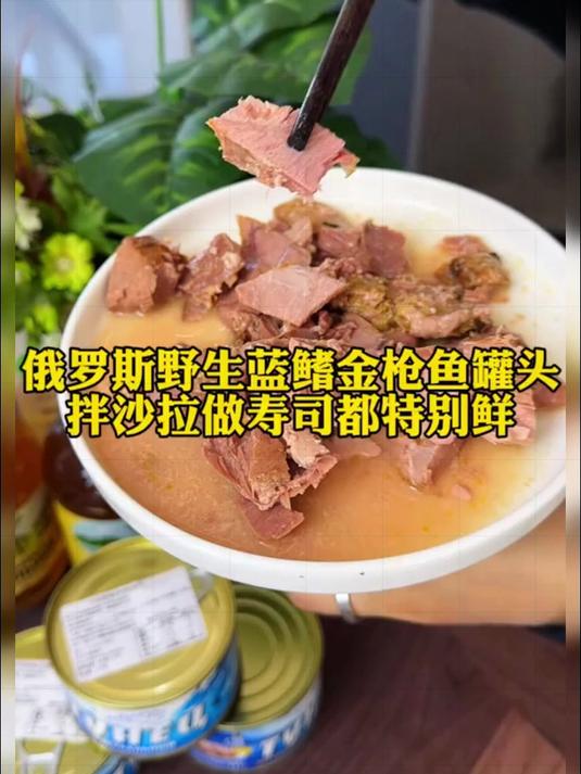 进口金枪鱼罐头满满的蛋白质