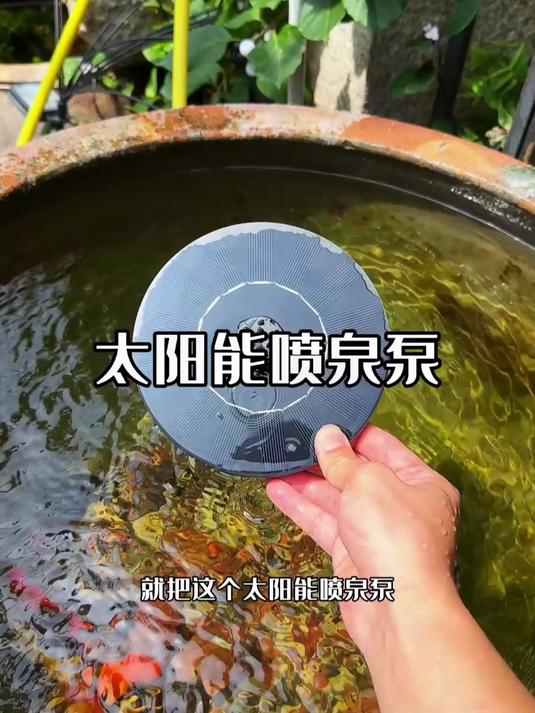省心免电太阳能喷水喷泉，多款实用喷头，鱼池水缸野外水域都合适！#太阳能喷泉##甄选好物#