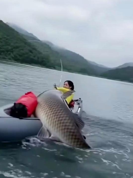 多功能三合一地插支架,钓鱼便携伴侣野钓超实用