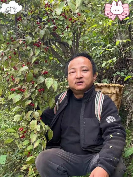 中药瑰宝山茱萸,它的这几个功效你知道吗